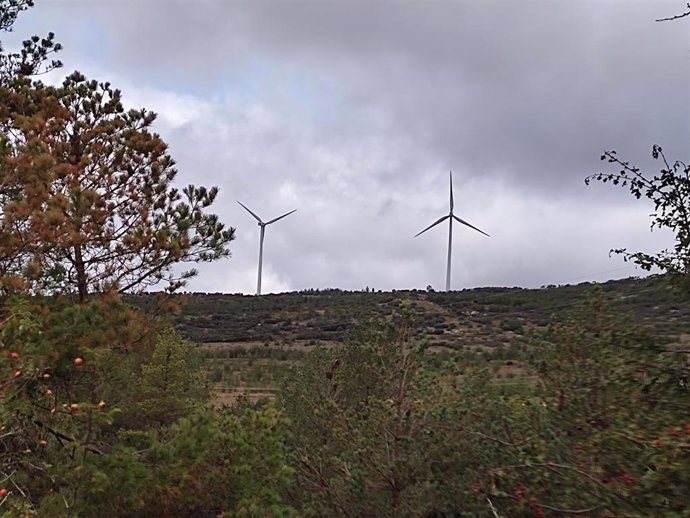 Molinos de viento