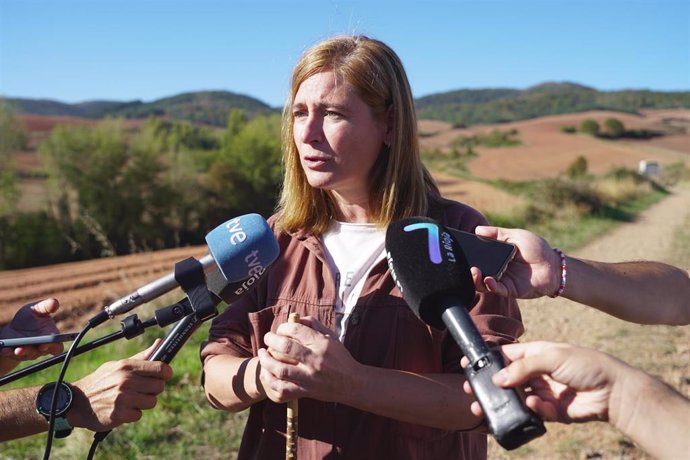 Archivo - La consejera de Agricultura, Ganadería, Mundo Rural y Medio Ambiente, Noemí Manzanos