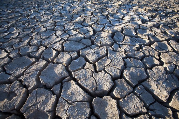 Archivo - August 7, 2008: The ground in Sanlucar de Barrameda, Spain, displays extensive cracking due to drought and lack of water in the marshland.