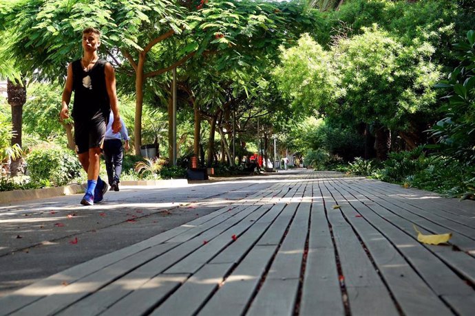 Archivo - Paseo de madera del Parque García Sanabria