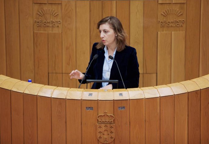 La conselleira de Medio Ambiente e Cambio Climático, Ángeles Vázquez, en una intervención en el Parlamento de Galicia.