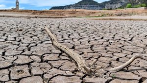 Cambio Climático