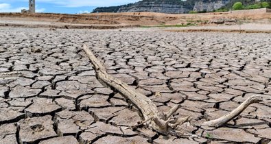 Cambio Climático