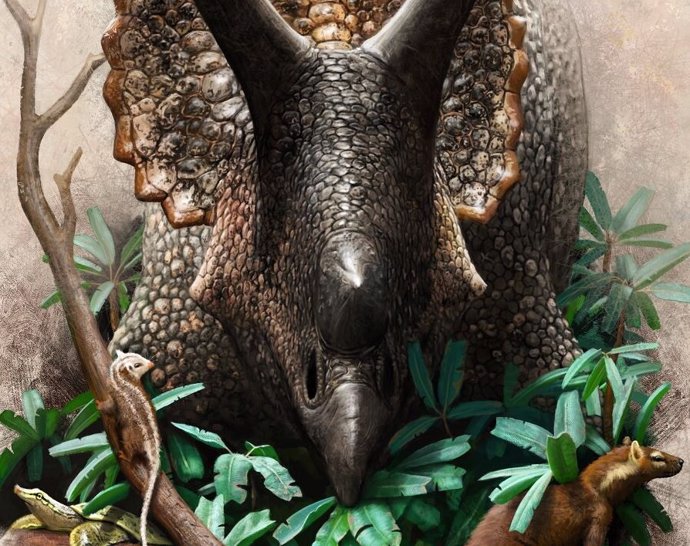 Archivo - Triceratops prorsus comiendo cícadas 