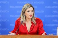 PSOE-A ve "paralelismos" entre la Andalucía de hoy y la del 4D y pide a Moreno no "tapar sus vergüenzas" con la bandera