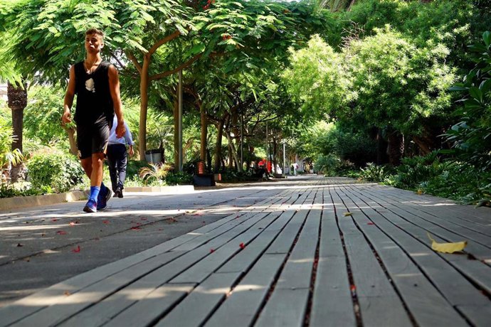 Archivo - Paseo de madera del Parque García Sanabria