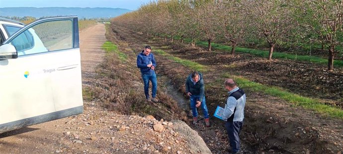 La Junta ha puesto en marcha los trabajos necesarios para la redacción del Proyecto de Mejora de la Conectividad Ecológica de la Campiña de Córdoba.