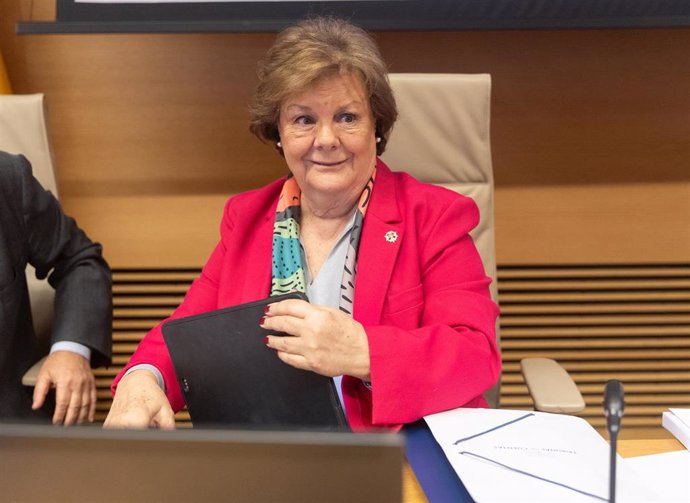 La presidenta del Tribunal de Cuentas, Enriqueta Chicano, durante su comparecencia en la Comisión Mixta para las Relaciones con el Tribunal de Cuentas, en el Congreso de los Diputados, a 3 de diciembre de 2024, en Madrid (España)