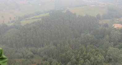 Galicia Rural