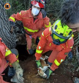 Rescatan a un hombre y su perro atrapados en una ruta en Albalat dels Tarongers