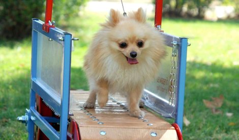 Comunicados Sociedad