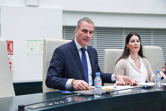 El portavoz del Grupo Municipal VOX, Francisco Javier Ortega Smith, durante un pleno del Ayuntamiento de Madrid 