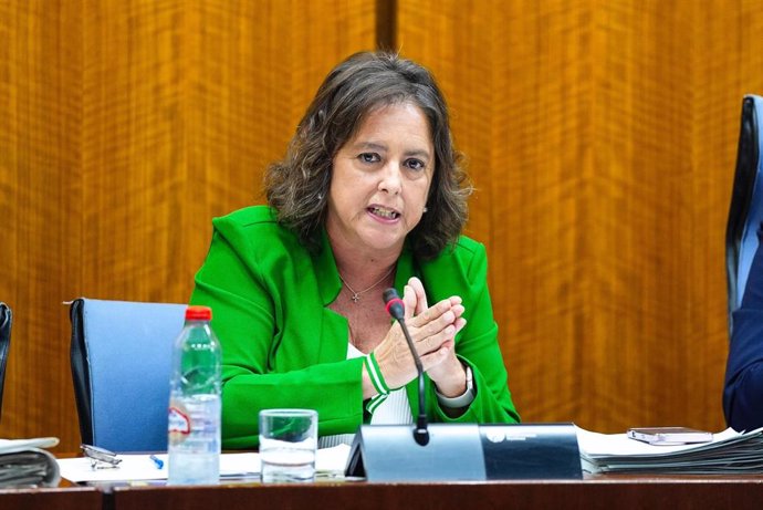 La consejera de Sostenibilidad de la Junta de Andalucía, Catalina García, en la comisión parlamentaria del 4 de diciembre de 2024.