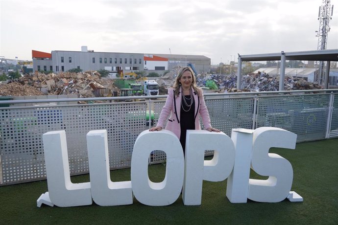 Ana Llopis, presidenta ejecutiva de Grupo Llopis.