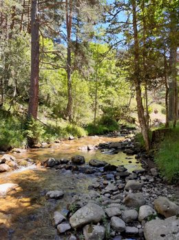 Archivo - Sierra Cebollera