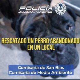 Rescatado un perro abandonado y en mal estado de salud en un local de San Blas