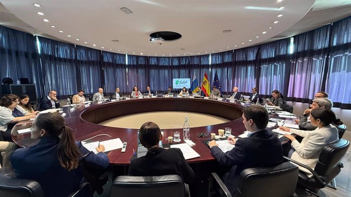 Encuentro del Gobierno de Canarias con fabricantes de combustible para aviación respetuoso con el medio ambiente y representantes de aerolíneas con base en las islas