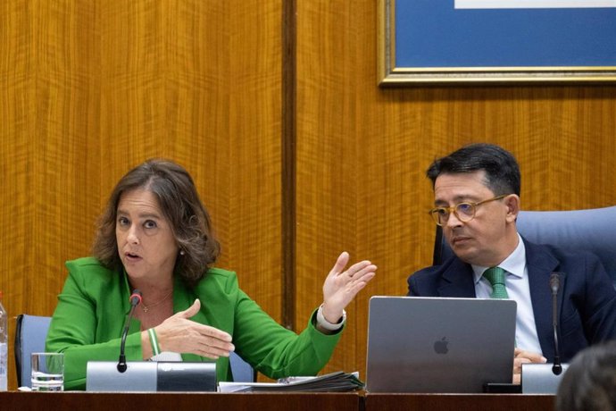 Catalina García (i), en la comisión parlamentaria de Sostenibilidad y Medio Ambiente.