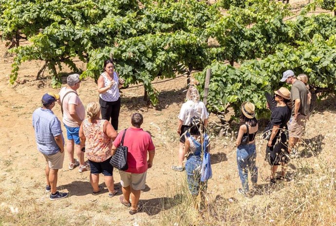 Turistas en una actividad gastronómica