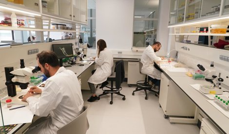 Investigación