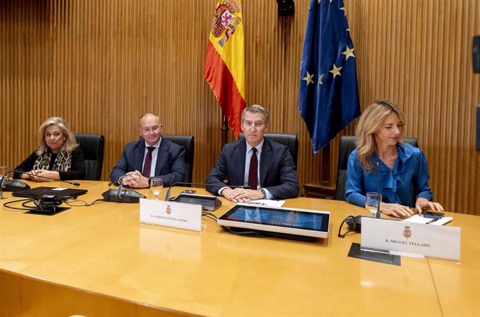 (I-D) La diputada del PP, Macarenas Montesinos; el portavoz del PP en el Congreso, Miguel Tellado; el líder del Partido Popular, Alberto Núñez Feijóo, y la diputada del PP, Cayetana Álvarez de Toledo, durante las jornadas ‘Constitución y reconstitución’, 