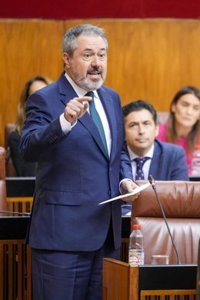 Espadas afea que el PP "se quiere envolver en la bandera andaluza para reescribir la historia que no protagonizó"