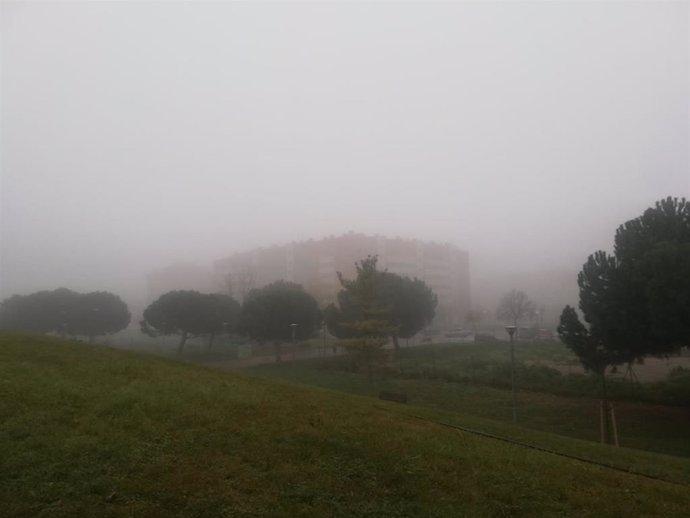 Archivo - Niebla.