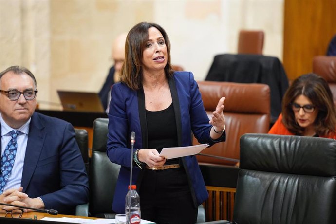 La consejera de Fomento, Articulación del Territorio y Vivienda, Rocío Díaz, en pleno parlamentario el 28 de noviembre de 2024. (Foto de archivo).