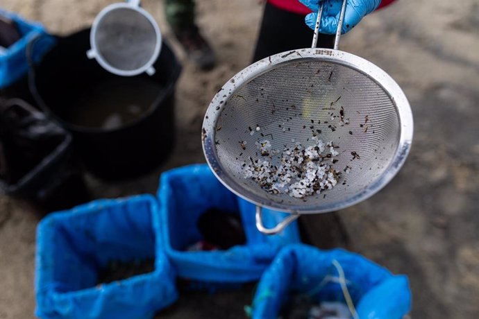 Archivo - Pellets encontrados en la playa Bos, a 13 de enero de 2024, en Noia, A Coruña, Galicia (España). 