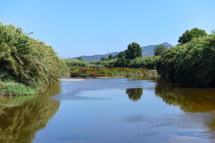 Archivo - Un tramo del río Llobregat