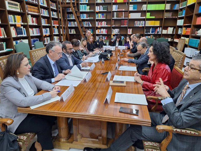 Reunión de la Comisión Territorial de Violencia de Género de Extremadura