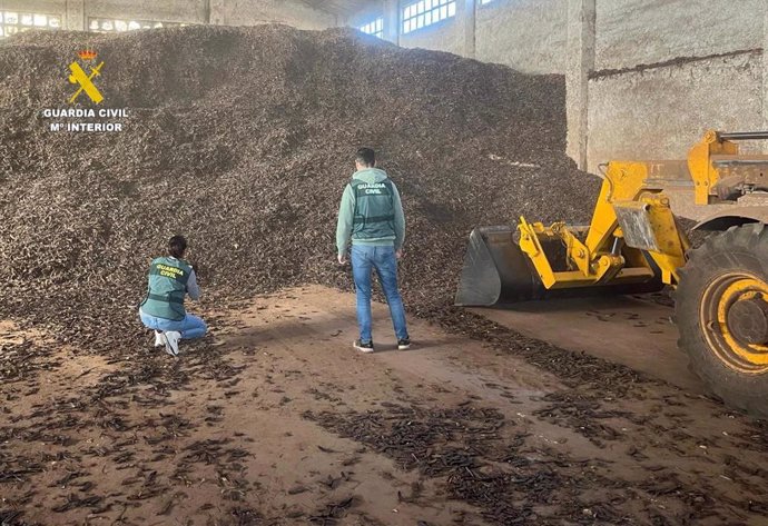 Detenidas cuatro personas por introducir ilegalmente más de 50.000 kilos de algarroba en el mercado