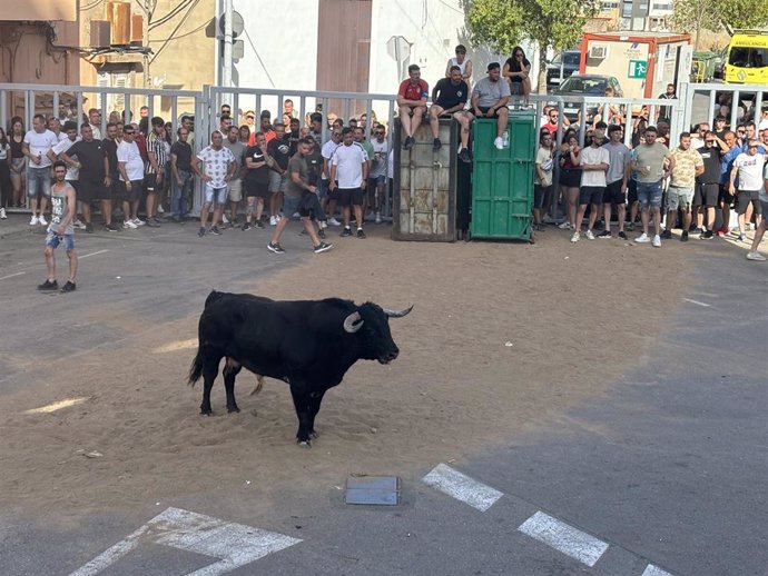 Archivo - Fotografías Del Toro De Las Fiestas Del Barrio De Fátima, Saludos