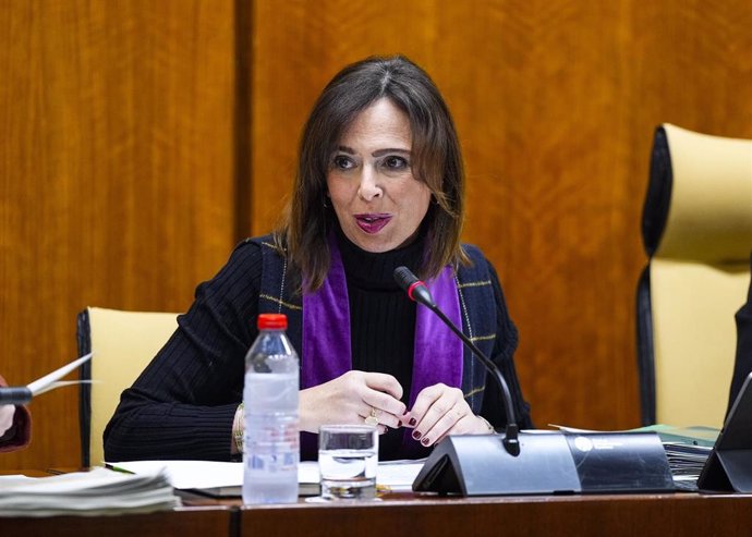 La consejera de Fomento, Rocío Díaz, este jueves durante su comparecencia parlamentaria en comisión.