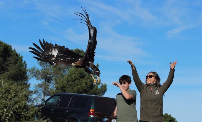 El Gobierno regional devuelve a su medio natural a cinco aves rapaces recuperadas en el CERI de Sevilleja de la Jara, dos nacidas en cautividad