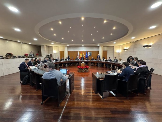 Pleno ordinario de diciembre en la DPH.