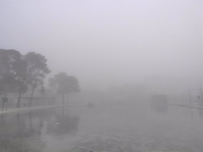 Archivo - Niebla en un parque.