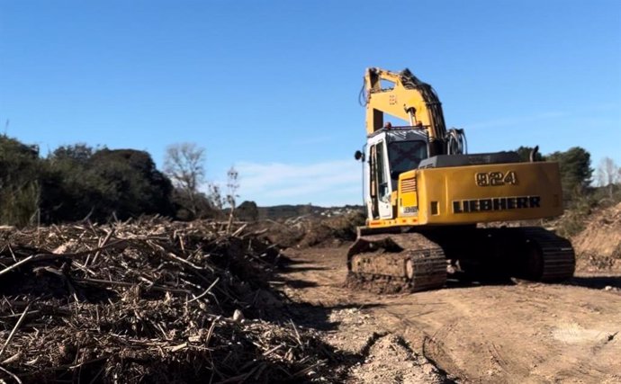 Trabajos de recuperación del Parque Natural del Turia con la limpieza y retirada de residuos