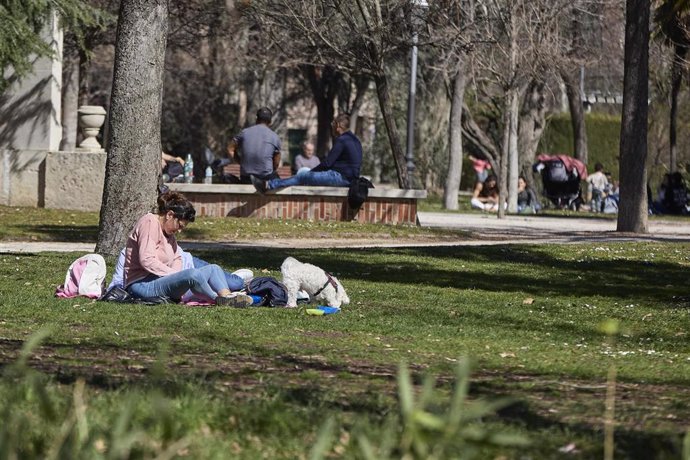 Archivo - Una chica y su perro sentados bajo un árbol en el Parque del Retiro, a 11 de marzo de 2023, en Madrid (España). 