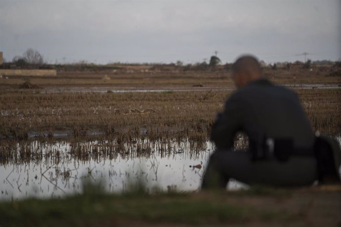 Un agente controla un dron para la búsqueda de desaparecidos en La Albufera, a 18 de noviembre de 2024, en Valencia, Comunidad Valenciana (España). 