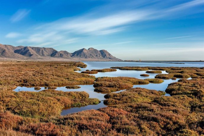 Archivo - Salinas del parque natural de Cabo de Gata-Níjar, en Almería.