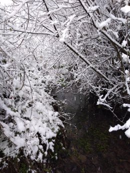 Archivo - Nieve en Euskadi (archivo)