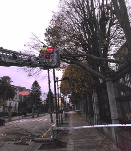 Bomberos intervienen en Santoña por ramas con riesgo de caída a la vía pública