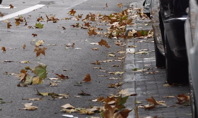 Archivo - Recursos de viento, temporal, hojas, otoño