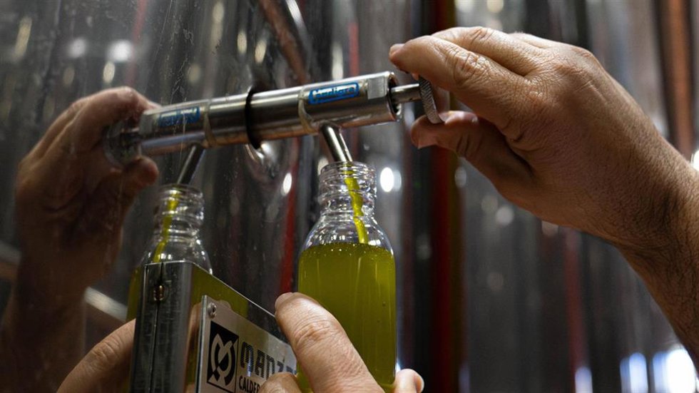 Imagen del proceso de embotellado del aceite de oliva en Granada.