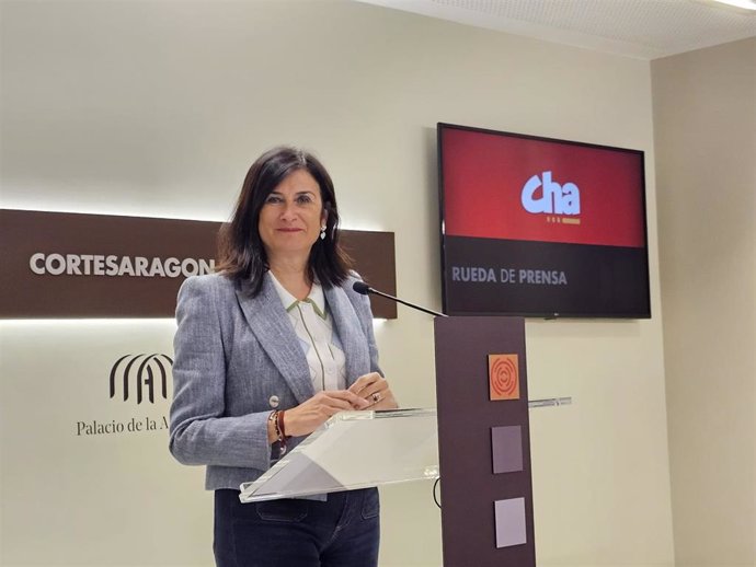 Archivo - La portavoz de CHA en la Comisión de Educación, Cultura y Deporte de las Cortes de Aragón, Isabel Lasobras.