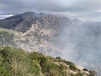 El incendio forestal de Andratx quema unas 50 hectáreas de pinar y carrizo