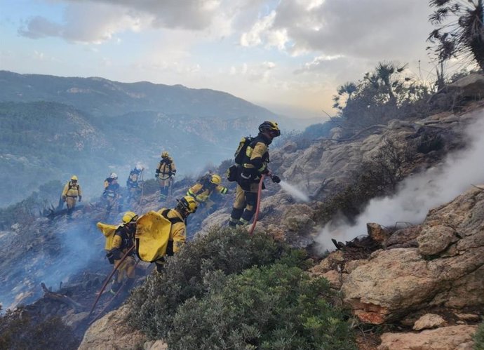 Efectivos de la Conselleria de Agricultura, Pesca y Medio Natural trabajan en la extinción del incendio forestal declarado en Andratx