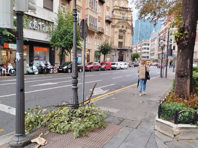 Archivo - Ramas caídas en Bilbao durante temporal de viento.