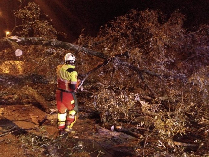 La retirada esta noche de un árbol entre Sarón y La Penilla por bomberos del Gobierno.